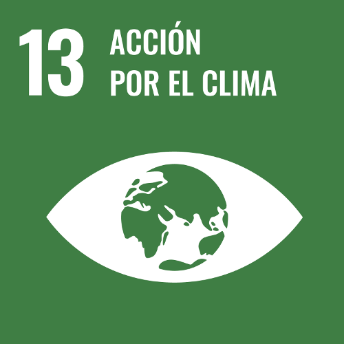 13 Acción por el clima.