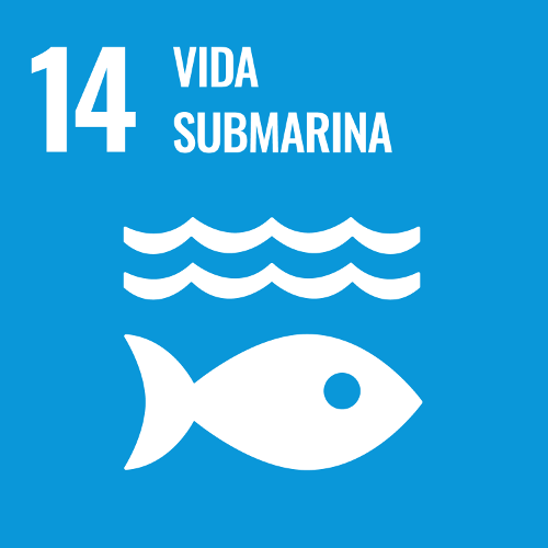 14 Vida submarina.