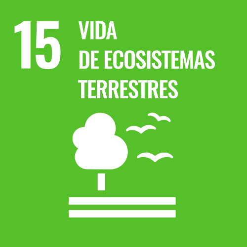 15 Vida de ecosistemas terrestres.