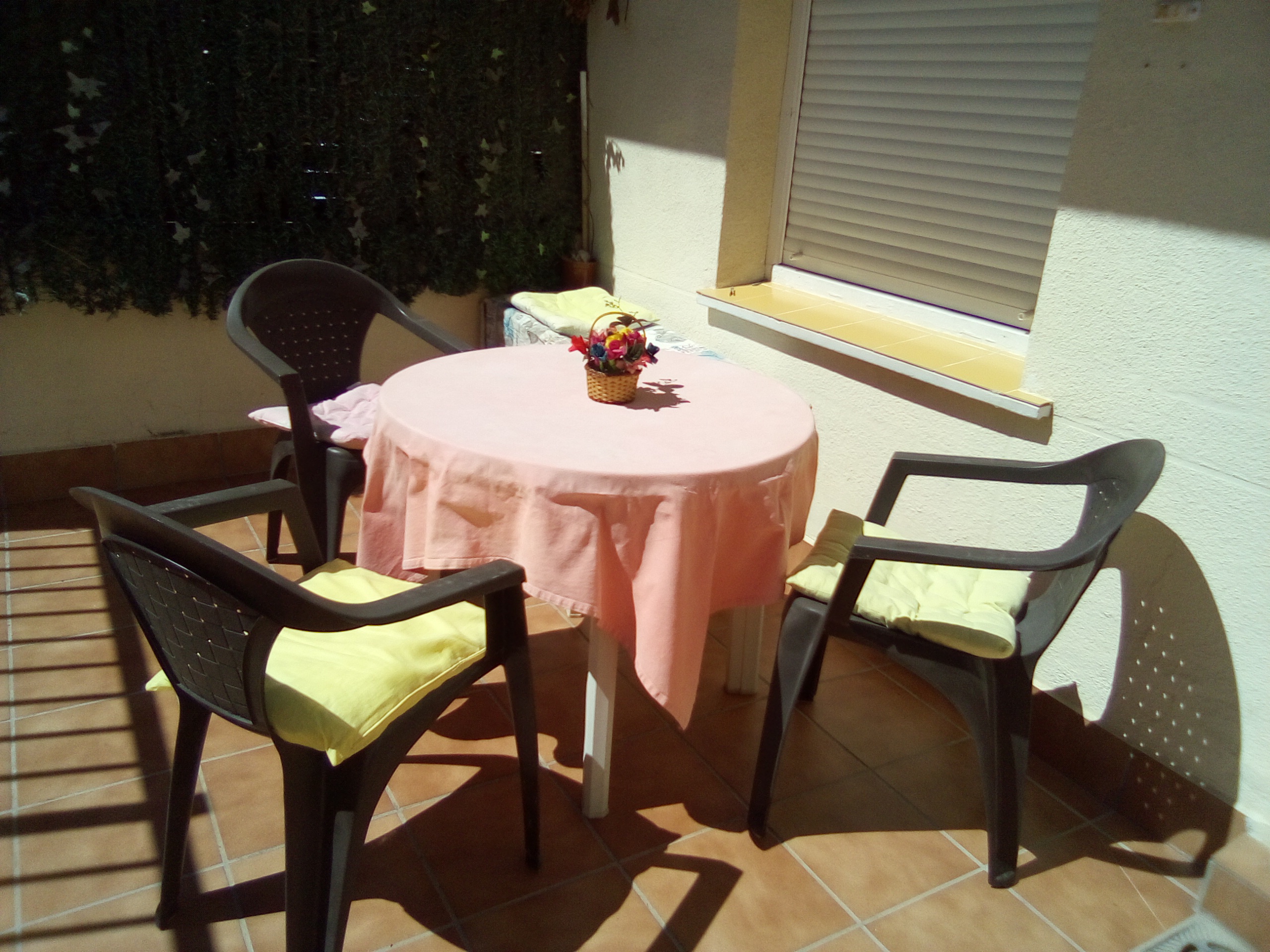 Terraza