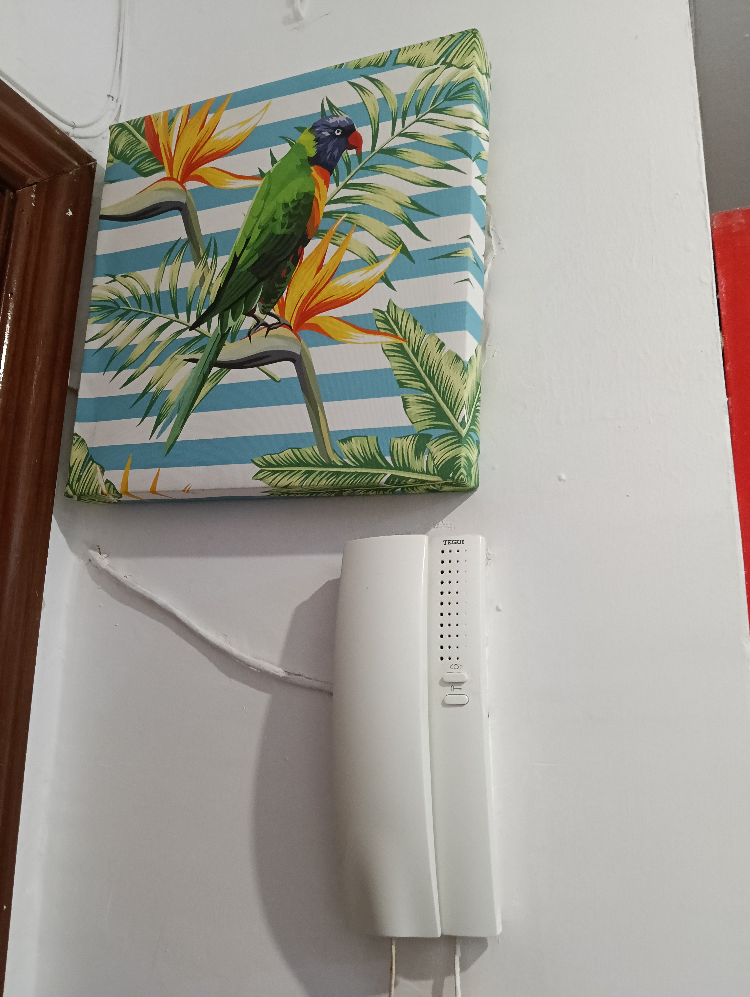 Portero automático 
