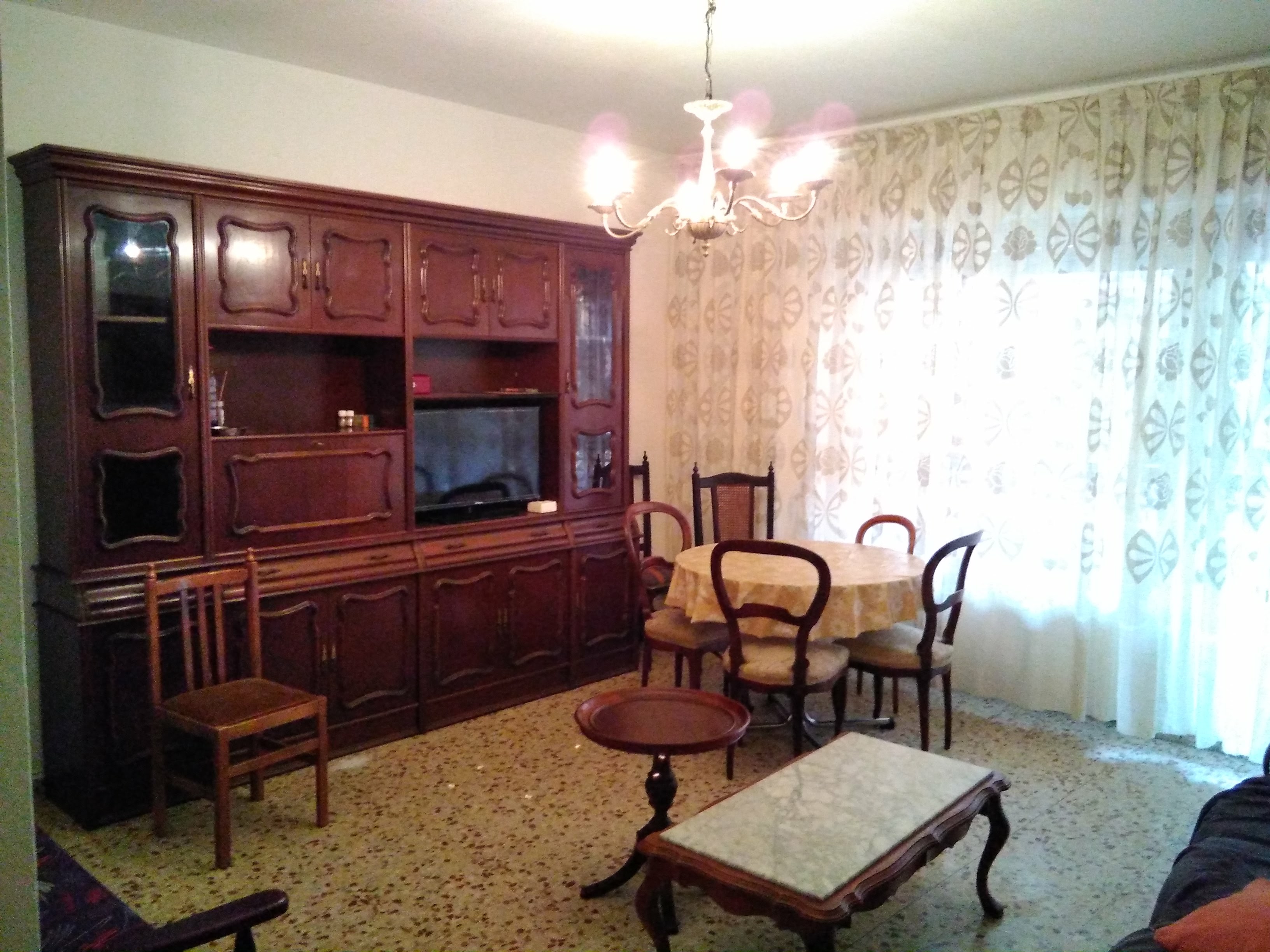 FOTO3